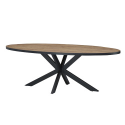 Table à manger ovale 220 cm...